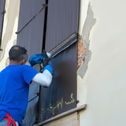 Crépis : optez pour une façade rustique et chaleureuse Maurepas